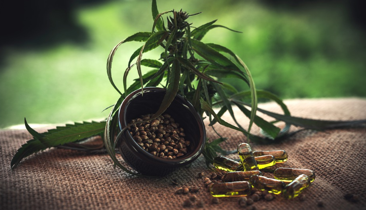CBD Pills